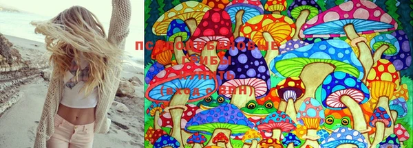 марки lsd Абаза