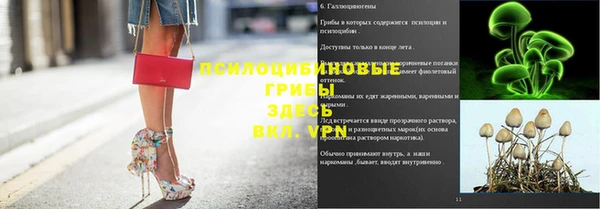 прущие грибы Алексеевка