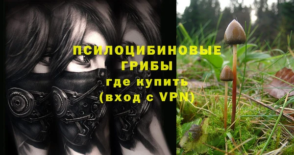 ECSTASY Алзамай