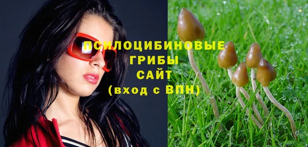 марки lsd Абаза
