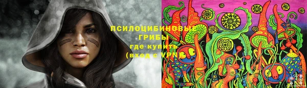 прущий лед Заводоуковск
